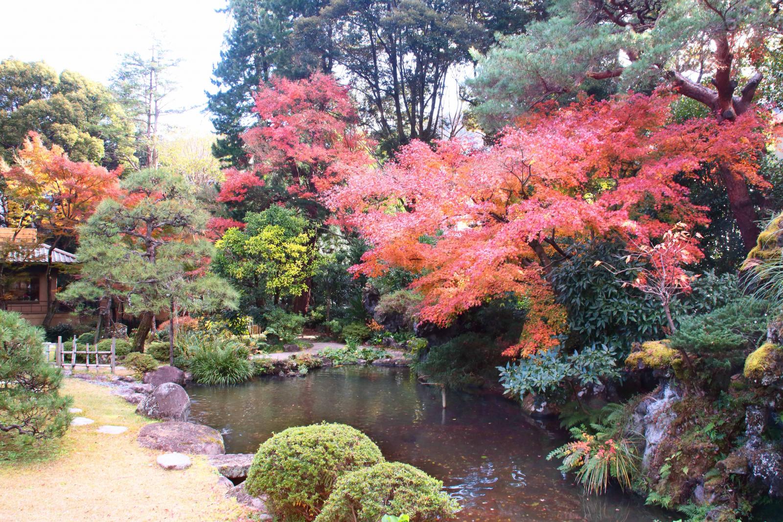 紅葉と水景